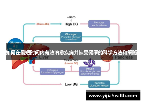 如何在最短时间内有效治愈疾病并恢复健康的科学方法和策略